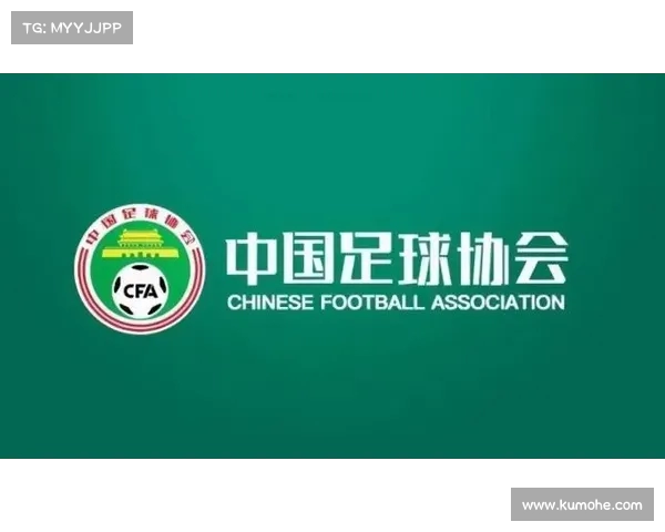 中超青训系统的发展现状与挑战分析及未来展望
