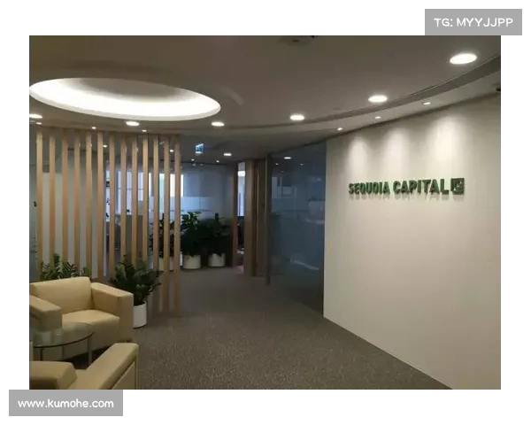 法甲投资人背后的资本故事与市场战略解析